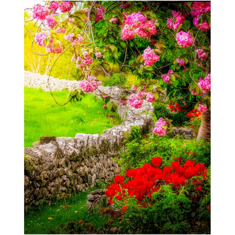 Print - Spring in Quin, County Clare