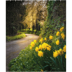 Shower Curtain - Irish Spring Country Road, County Clare - James A. Truett - Moods of Ireland - Irish Art