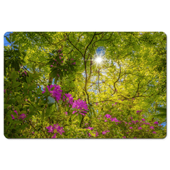 Desk Mat - Sun rays and Rhododendrons in Paradise, County Clare - James A. Truett - Moods of Ireland - Irish Art