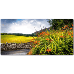 Desk Mat - Wild Montbretia in the County Tipperary Countryside - Moods of Ireland