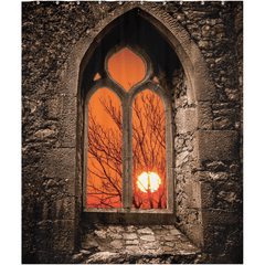 Shower Curtain - Clare Abbey Sunrise, County Clare - James A. Truett - Moods of Ireland - Irish Art