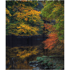 Shower Curtain - Autumn on Ireland's Cloon River, County Clare - James A. Truett - Moods of Ireland - Irish Art