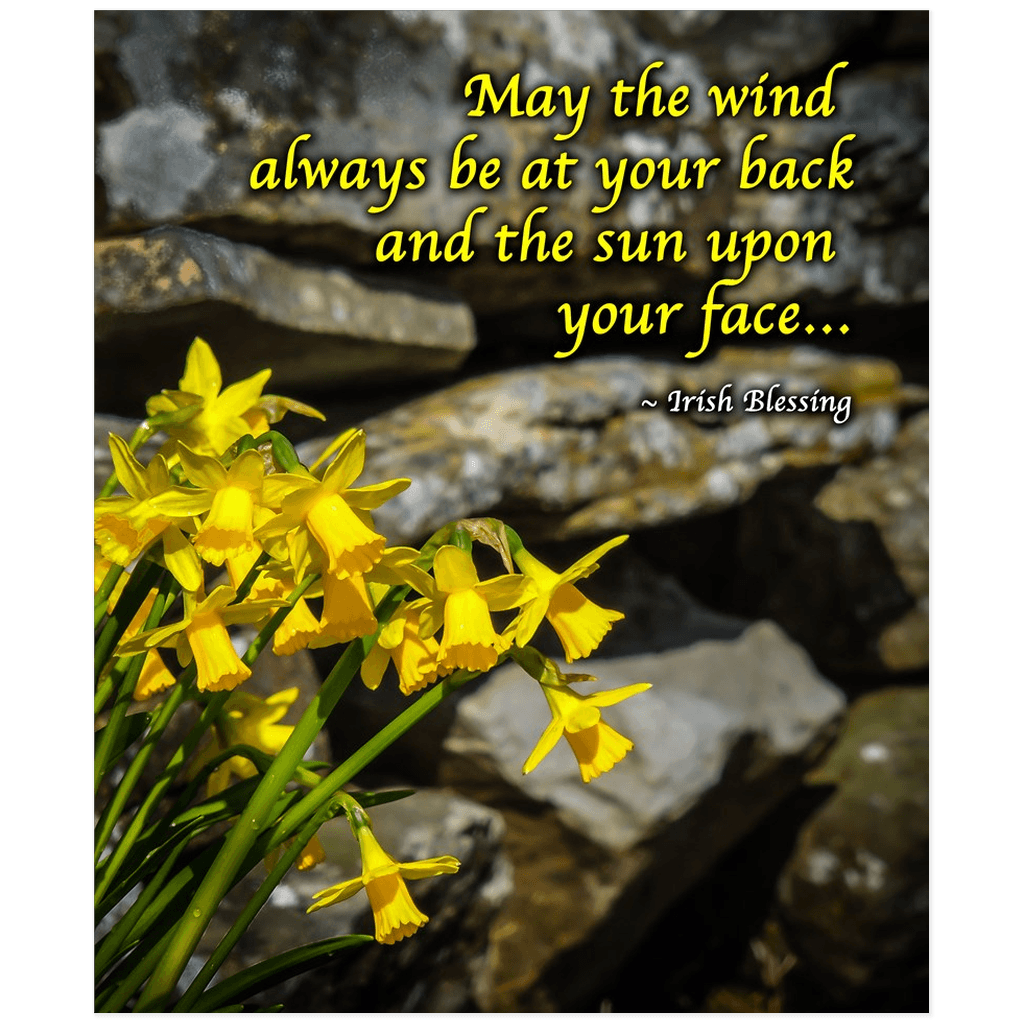 Print - Irish Blessing with Daffodils and Stone Wall - James A. Truett - Moods of Ireland - Irish Art