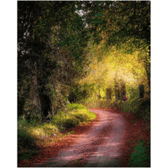 Print - Spots of light on Autumn Path, Clondegad, County Clare - Moods of Ireland