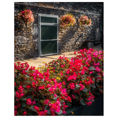 Print - Flowers at Barnyard Coffee, Carrigaholt, County Clare - Moods of Ireland