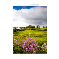 Folded Note Cards - Lissycasey Wildflowers, County Clare, Ireland - James A. Truett - Moods of Ireland - Irish Art