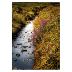 Folded Note Cards - Late Summer Symphony of Colours, County Clare - Moods of Ireland