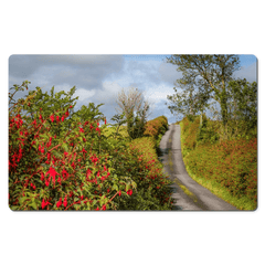 Desk Mat -Fuchsias Blooming in the Irish Countryside - James A. Truett - Moods of Ireland - Irish Art