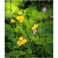 Shower Curtain - Wildflowers in Filtered Sunlight, Ballylee, County Galway - James A. Truett - Moods of Ireland - Irish Art