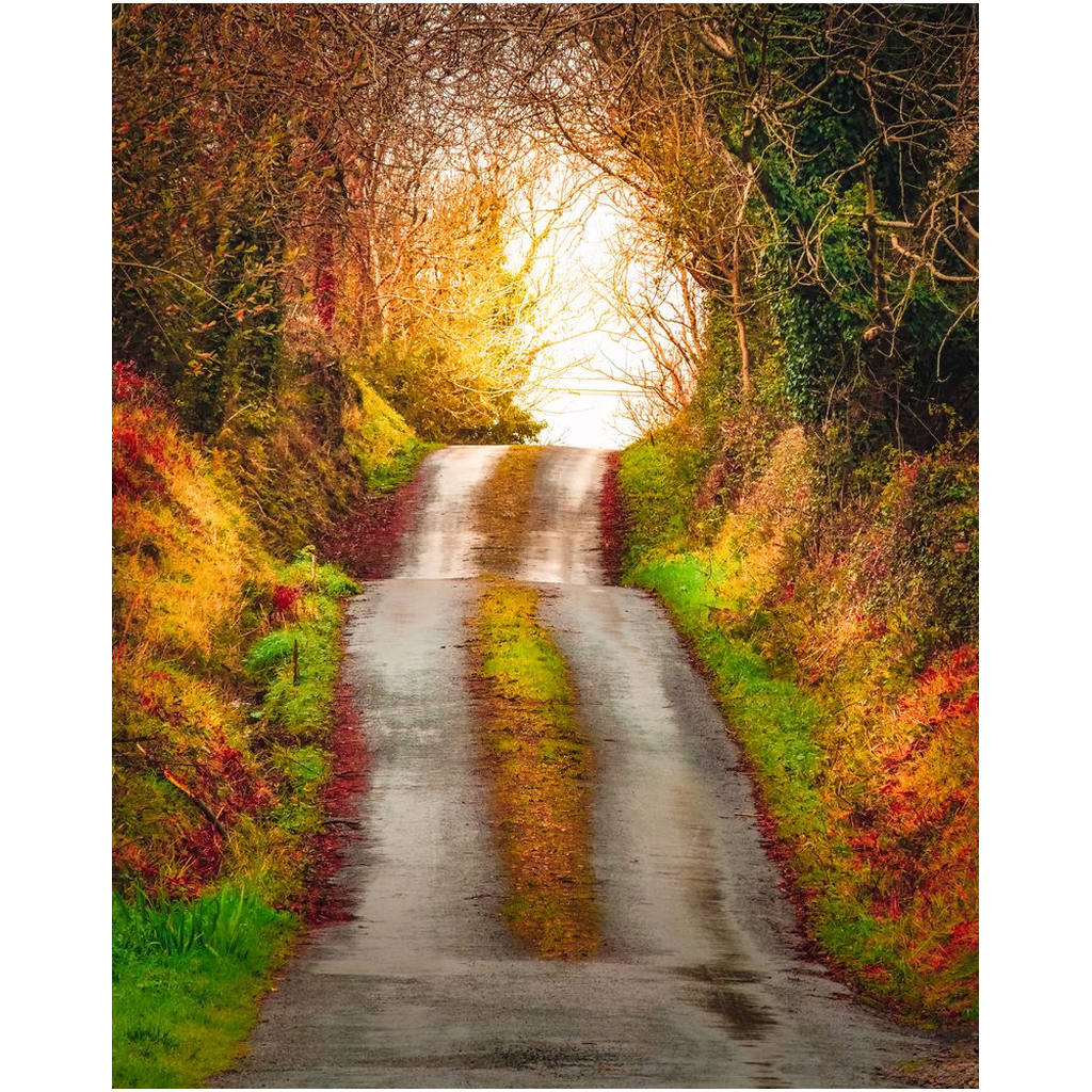 Print - Rising Boreen in the Irish Countryside, County Clare