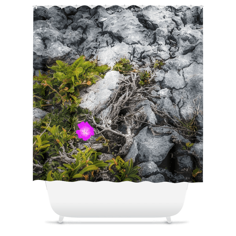 Shower Curtain - Lone Wildflower in the Burren Limestone - James A. Truett - Moods of Ireland - Irish Art