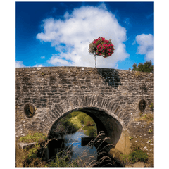 Print - Flower Basket over Creegh Bridge, County Clare - Moods of Ireland