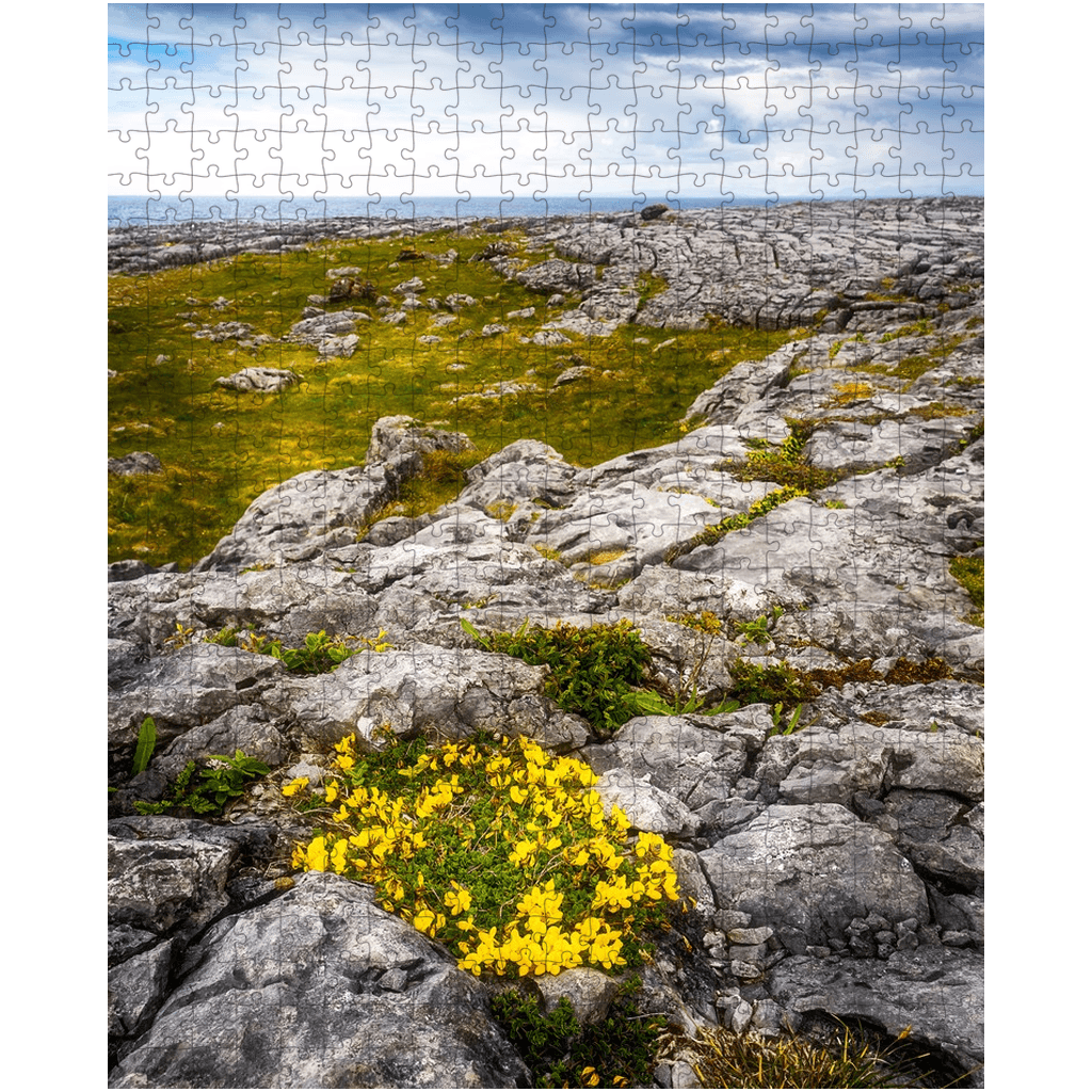 Puzzle - Gorse in the Rugged Burren Limestone - James A. Truett - Moods of Ireland - Irish Art