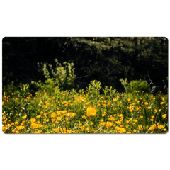 Desk Mat - Merry Meadow of Buttercups, County Clare - James A. Truett - Moods of Ireland - Irish Art