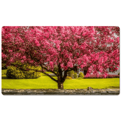 Desk Mat - Cherry Blossom Explosion, Ennis, County Clare - James A. Truett - Moods of Ireland - Irish Art