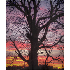 Shower Curtain - Irish Sunrise and Hibernating Tree - James A. Truett - Moods of Ireland - Irish Art