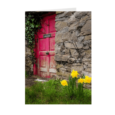 Folded Note Cards - Daffodils Outside Irish Cottage, Kilrush, County Clare - James A. Truett - Moods of Ireland - Irish Art