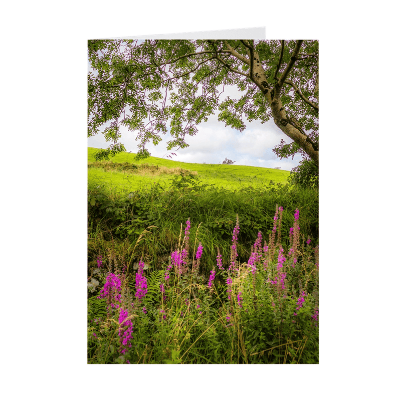 Folded Note Cards - Timeless Serenity in the Irish Countryside - James A. Truett - Moods of Ireland - Irish Art