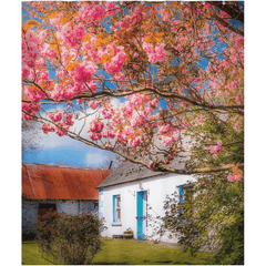 Shower Curtain - Cherry Blossoms and Irish Cottage, County Clare - James A. Truett - Moods of Ireland - Irish Art