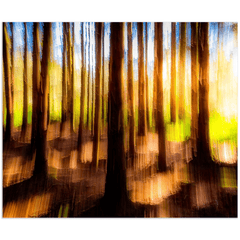 Print - Sun through the Woods Abstract, County Clare - James A. Truett - Moods of Ireland - Irish Art