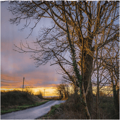 Shower Curtain - Morning Sun on Irish County Road, County Clare - James A. Truett - Moods of Ireland - Irish Art