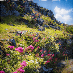 Shower Curtain - Burren Wildflowers and Limestone, County Clare - James A. Truett - Moods of Ireland - Irish Art