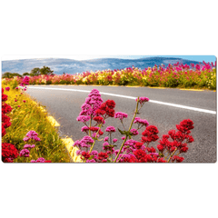 Desk Mat - Wild Valerian on the Roadside in County Clare - James A. Truett - Moods of Ireland - Irish Art