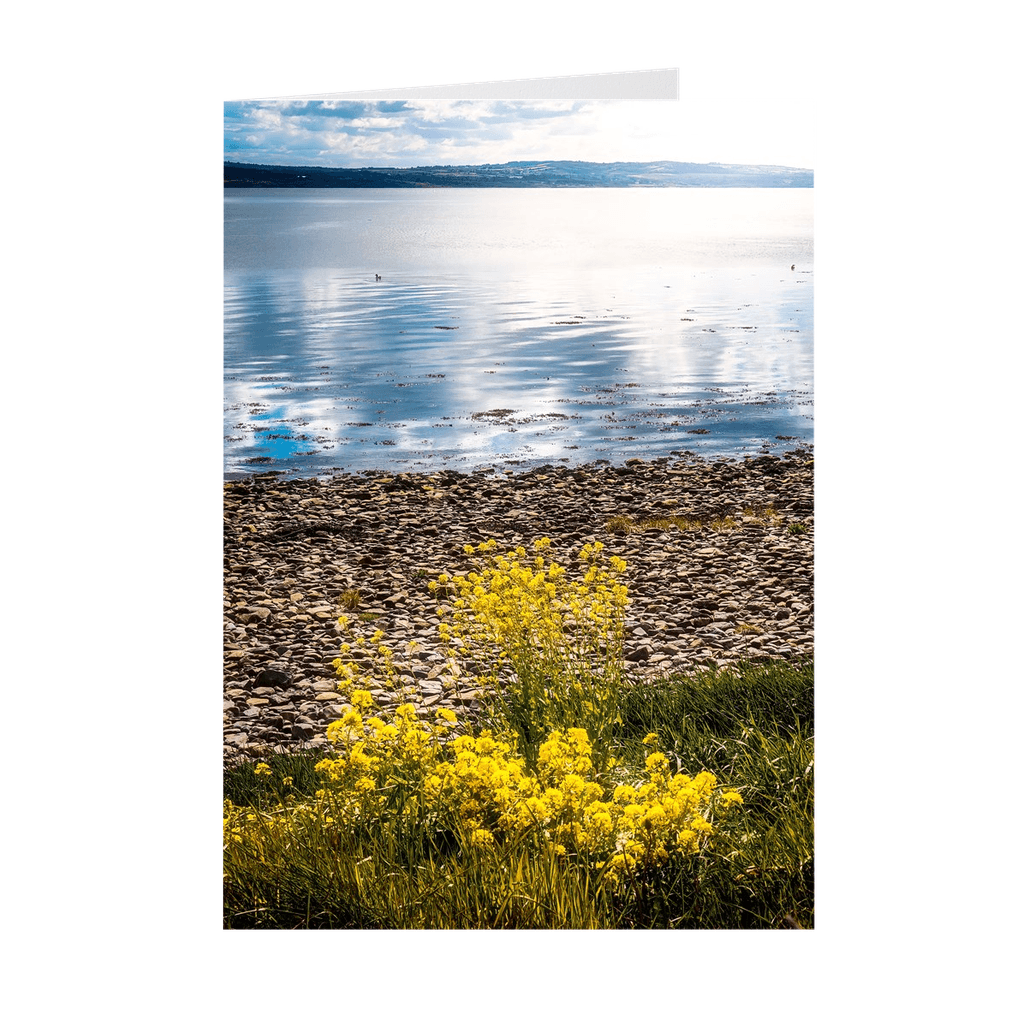 Folded Note Cards - Yellow Flowers on Shannon Estuary Shores, County Clare - James A. Truett - Moods of Ireland - Irish Art