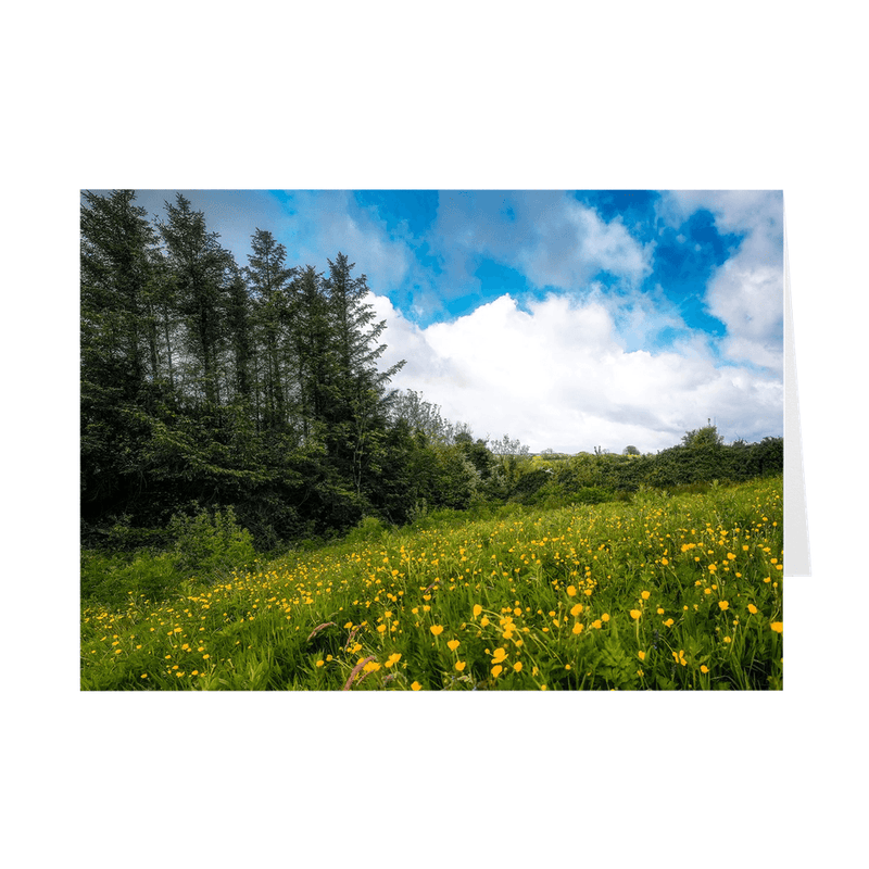 Folded Note Cards - Field of Buttercups in Spring, County Clare - James A. Truett - Moods of Ireland - Irish Art