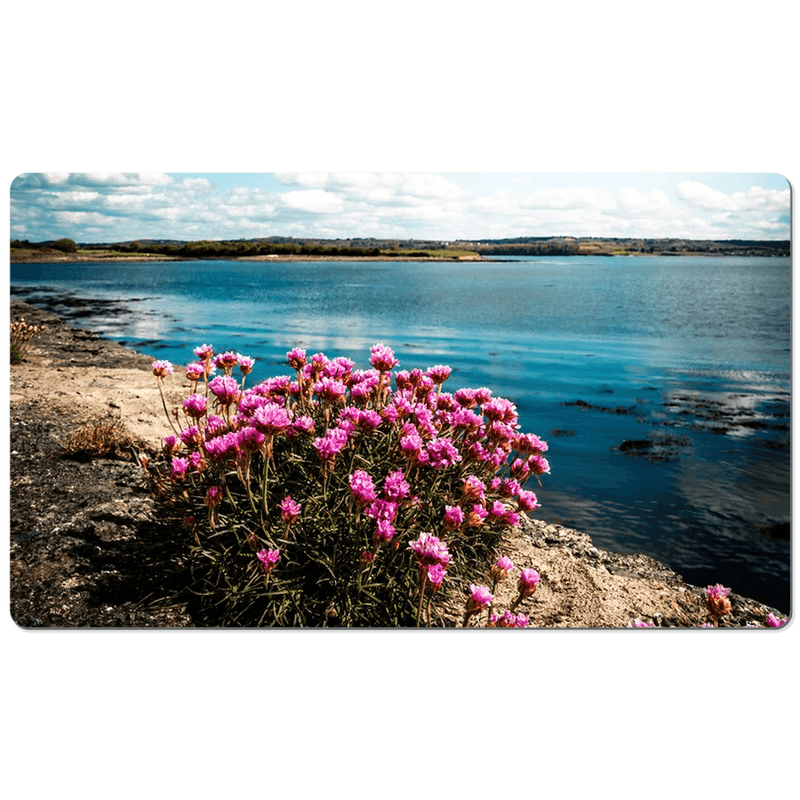 Desk Mat - Sea Pinks along Ireland's Shannon Estuary - James A. Truett - Moods of Ireland - Irish Art