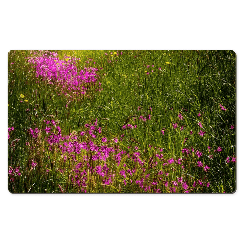 Desk Mat- Roadside Wildflowers in County Clare, Ireland - James A. Truett - Moods of Ireland - Irish Art