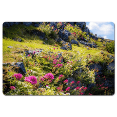 Desk Mat - Burren Wildflowers and Limestone, County Clare - James A. Truett - Moods of Ireland - Irish Art