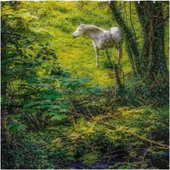 Shower Curtain - White Horse in 40 Shades of Green, County Clare - James A. Truett - Moods of Ireland - Irish Art