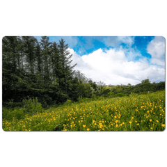 Desk Mat - Field of Buttercups in Spring, County Clare - James A. Truett - Moods of Ireland - Irish Art