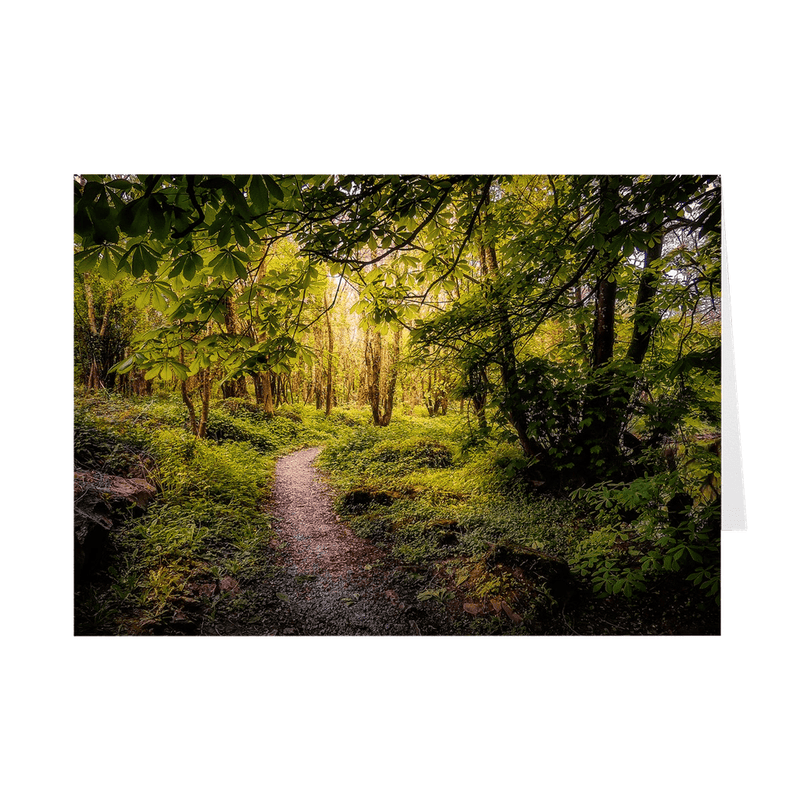 Folded Note Cards - Path in the Faerie Forest at Ballylee, County Galway - James A. Truett - Moods of Ireland - Irish Art