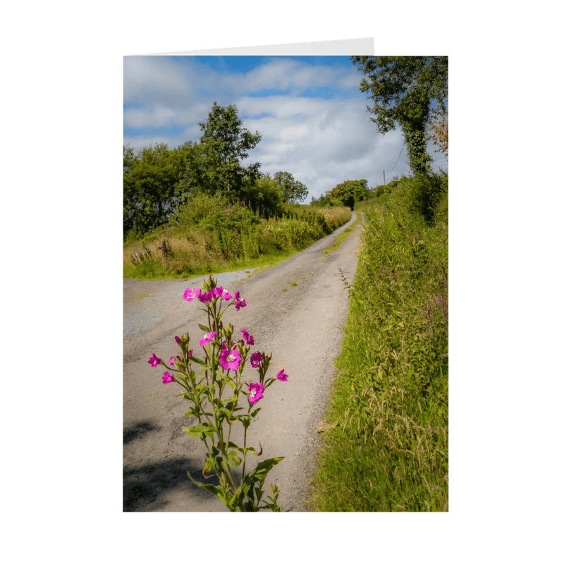 Folded Note Cards - The Road Home, Lanna, County Clare - James A. Truett - Moods of Ireland - Irish Art