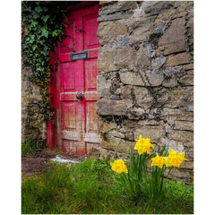 Puzzle - Daffodils Outside Irish Cottage, Kilrush, County Clare - James A. Truett - Moods of Ireland - Irish Art