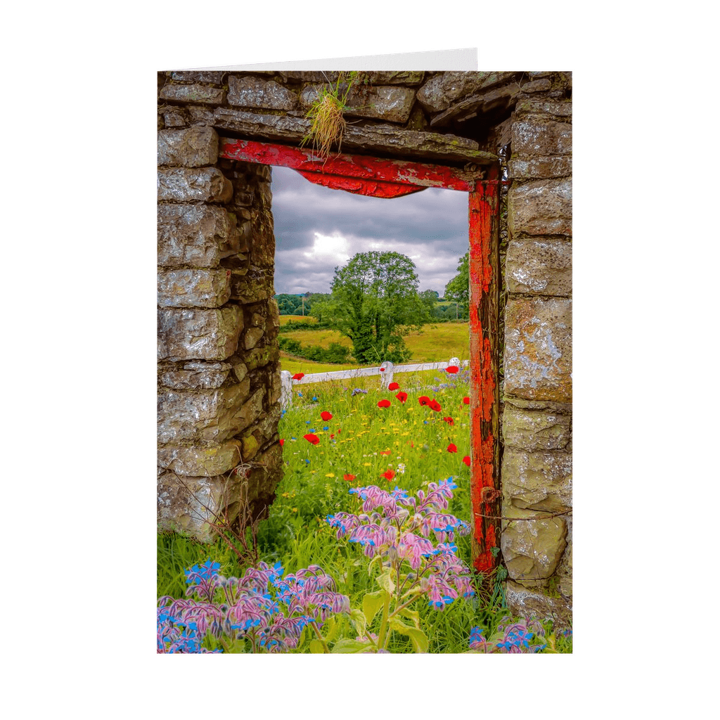 Folded Note Cards - Summer Wildflower Meadow, Ballynacally, County Clare - James A. Truett - Moods of Ireland - Irish Art
