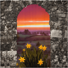 Shower Curtain - Spring Daffodils and County Clare Sunrise - James A. Truett - Moods of Ireland - Irish Art