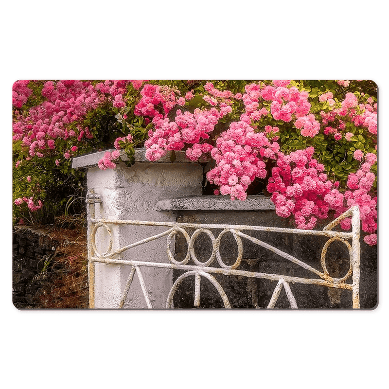 Desk Mat - Gate with Pink Roses, Lissycasey, County Clare - James A. Truett - Moods of Ireland - Irish Art