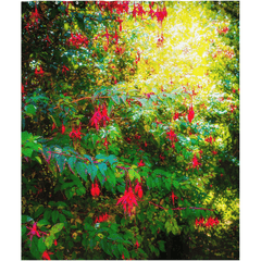 Shower Curtain - Wild Fuchsias Frollicking in the County Clare Countryside - James A. Truett - Moods of Ireland - Irish Art