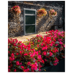 Print - Flowers at Barnyard Coffee, Carrigaholt, County Clare - Moods of Ireland