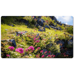 Desk Mat - Burren Wildflowers and Limestone, County Clare - James A. Truett - Moods of Ireland - Irish Art