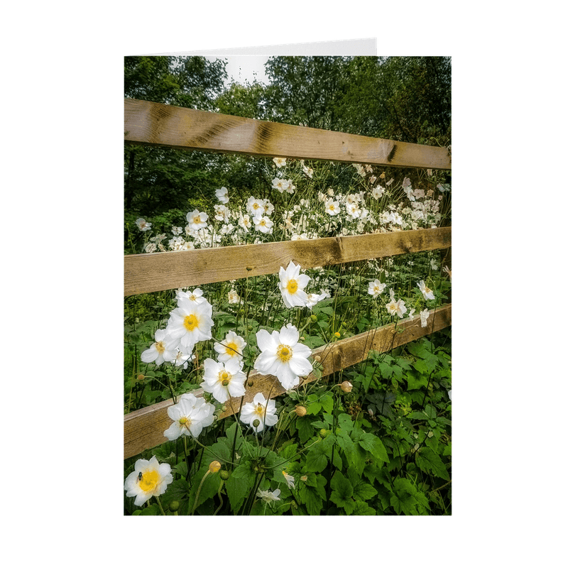 Folded Note Cards - Japanese Anemones in the Irish Countryside - James A. Truett - Moods of Ireland - Irish Art