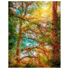 Print - Playground of the Faeries