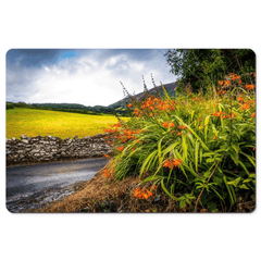 Desk Mat - Wild Montbretia in the County Tipperary Countryside - Moods of Ireland