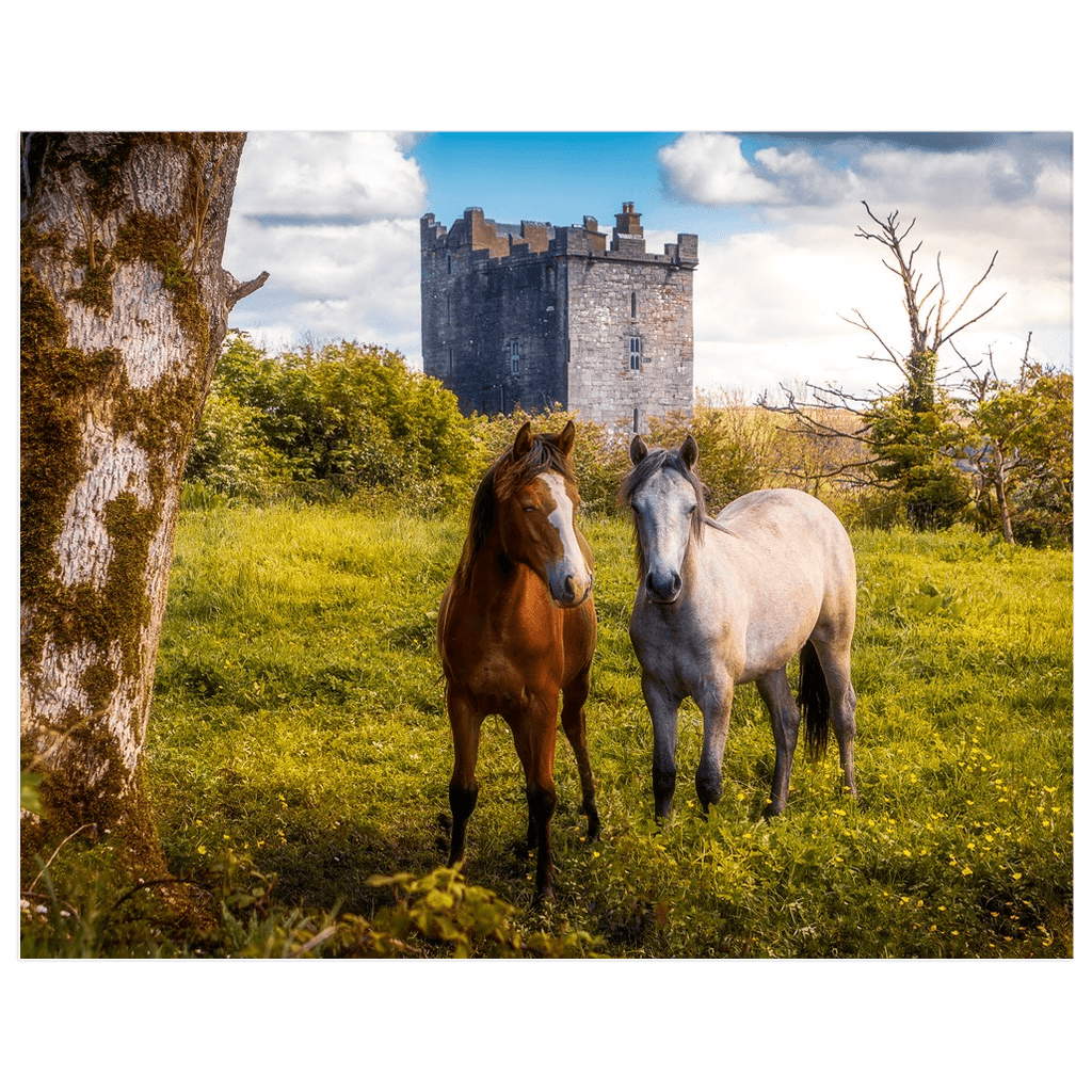 Print - Horses at Ballynagowan Castle, County Clare - James A. Truett - Moods of Ireland - Irish Art