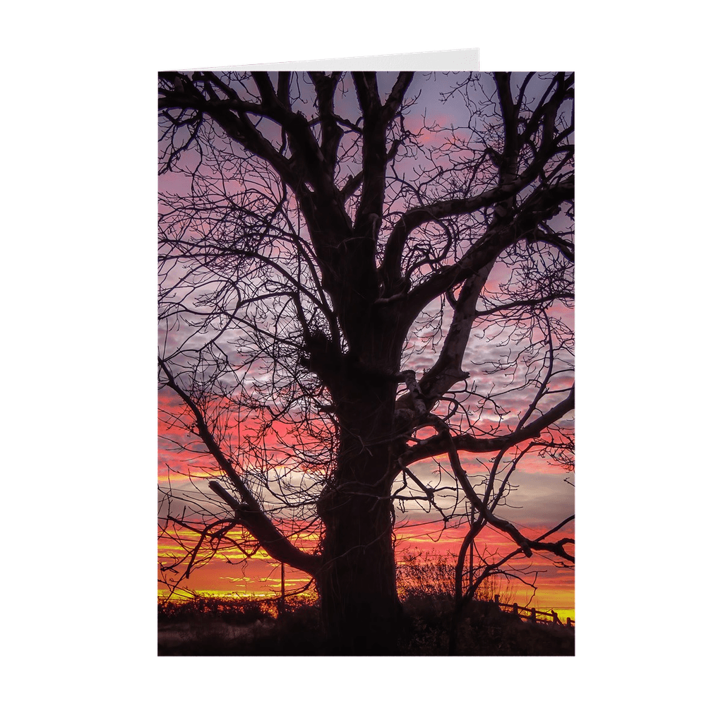 Folded Note Cards - Irish Sunrise and Hibernating Tree - James A. Truett - Moods of Ireland - Irish Art