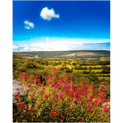 Print - Summer Burren Vista from Aillwee Cave, County Clare - James A. Truett - Moods of Ireland - Irish Art