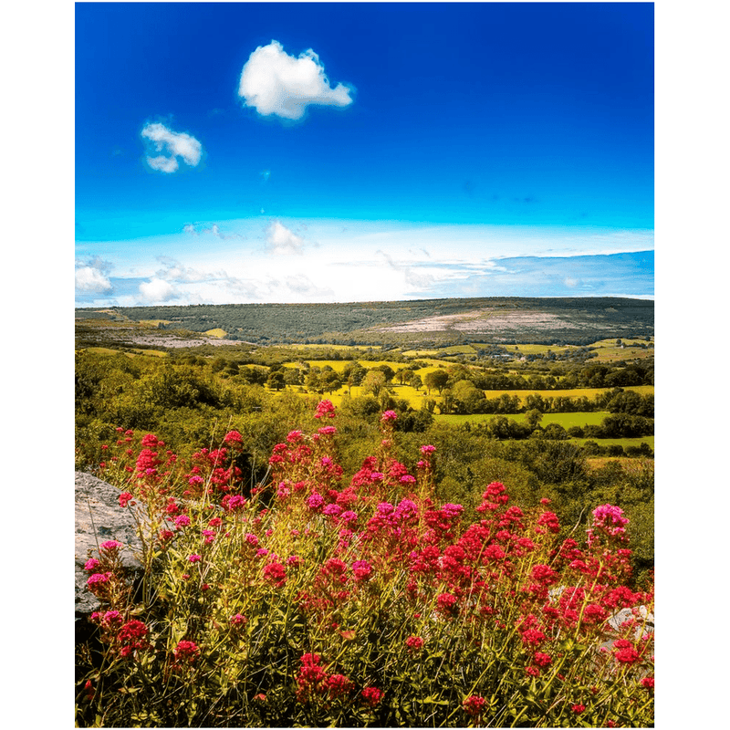 Print - Summer Burren Vista from Aillwee Cave, County Clare - James A. Truett - Moods of Ireland - Irish Art